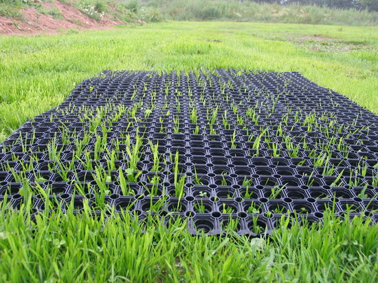 Produktbild Rasenschutzmatte - Ringmatte - Wabenmatte #3