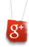 Google+